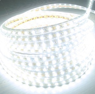 5050 led strip 220v 230v 240v 5m/roll white rgby waterproof flexible smd led strip 60leds/m 300leds/5m with plug