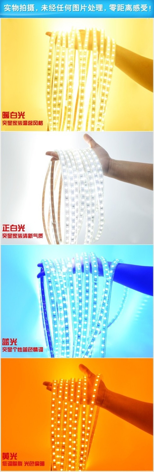 5050 led strip 220v 230v 240v 5m/roll white rgby waterproof flexible smd led strip 60leds/m 300leds/5m with plug