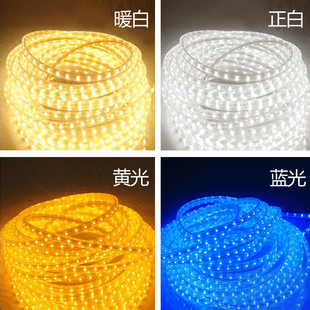 5050 led strip 220v 230v 240v 5m/roll white rgby waterproof flexible smd led strip 60leds/m 300leds/5m with plug