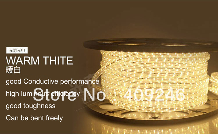 high voltage dustproof waterproof 3528 led strip ribbon tape light 220v 240v warm white led light led lamp 3528 chip+5pcs plug