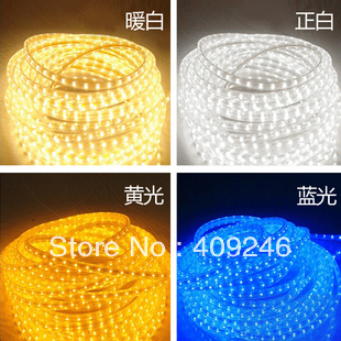 high voltage dustproof waterproof 3528 led strip ribbon tape light 220v 240v warm white led light led lamp 3528 chip+5pcs plug